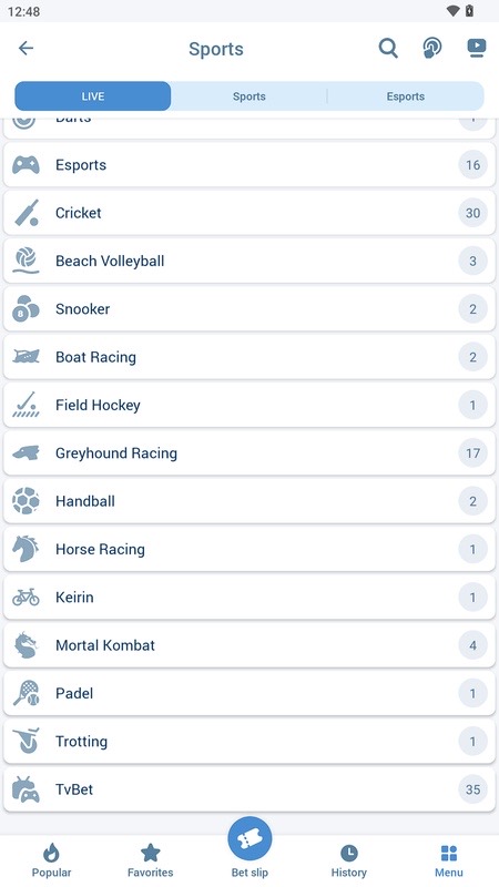 1xBet: catalog of available sports